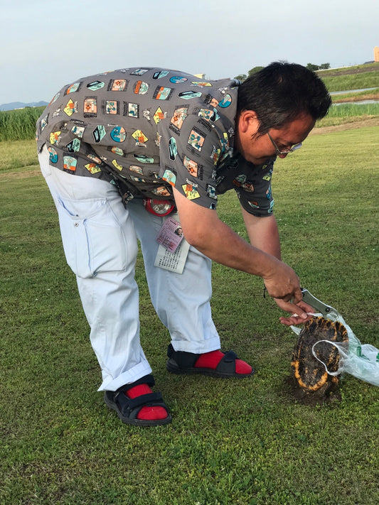 長良川 サツキマス