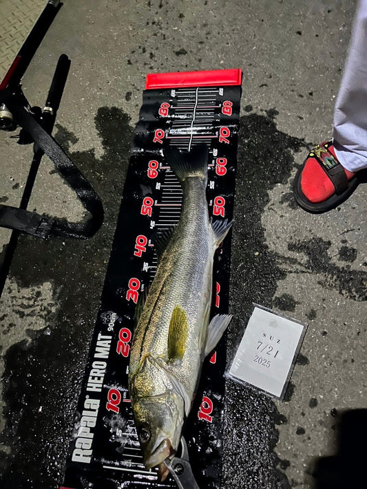三連休→先週釣れたポイントに粘着(ランカー釣れちゃったからしかたない)