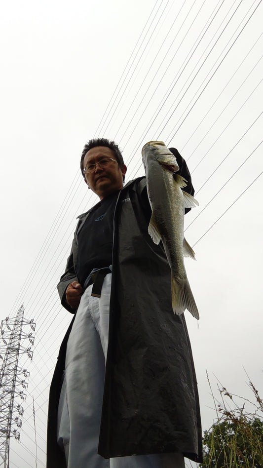 新川 シーバス 朝練
