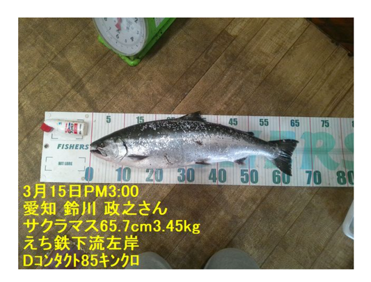 3月15日のヒットしてからの少し詳しい内容(だいたい同じ内容)を書き加えてみました(エピソード)