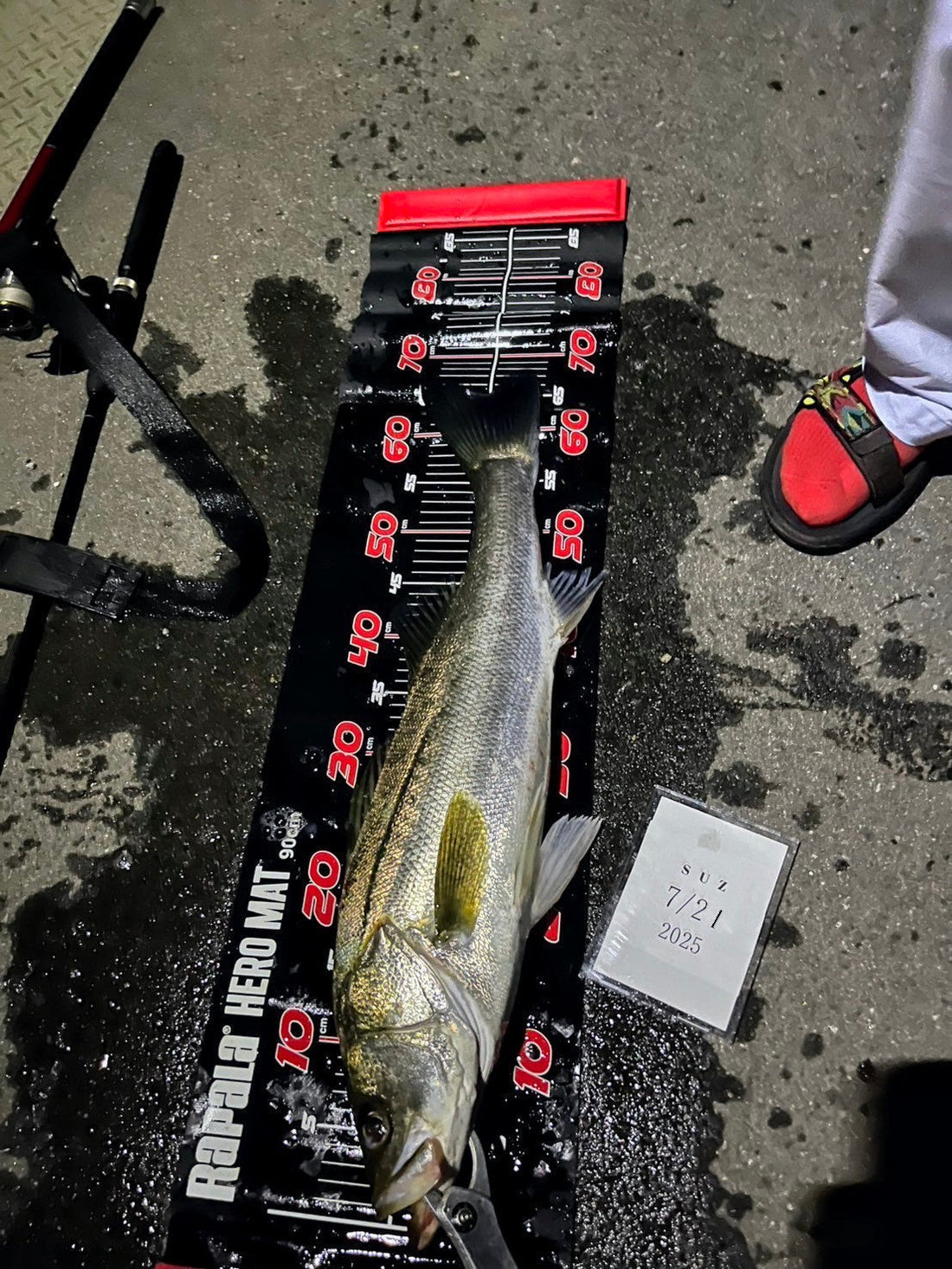 三連休→先週釣れたポイントに粘着(ランカー釣れちゃったからしかたない)