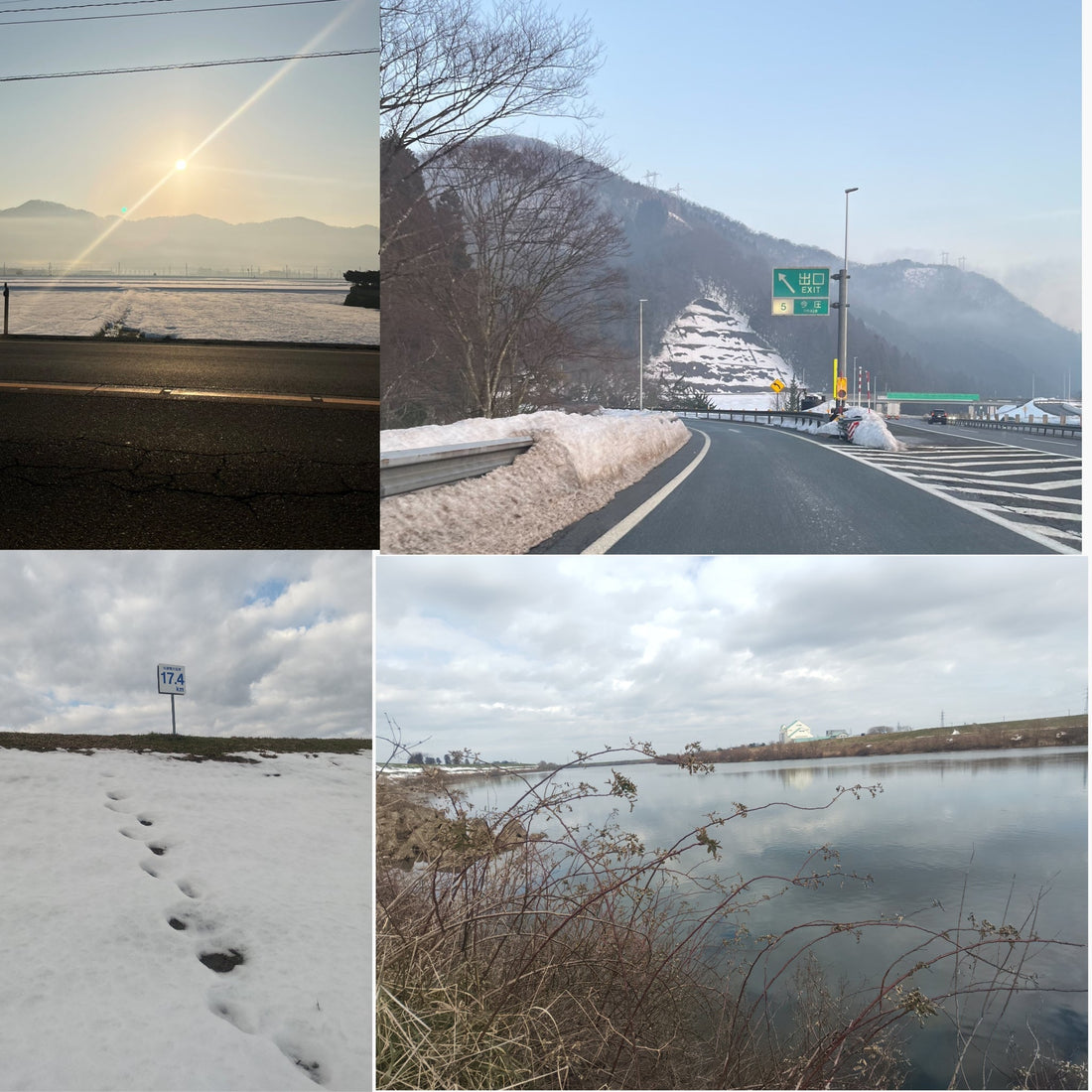 積雪もかなり少なくなり２０２６九頭竜川  2/14〜2/15