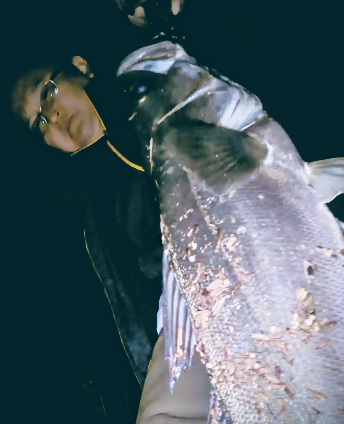 九頭竜川２０２５年10月25日と10月26日