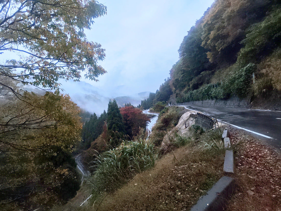 九頭竜川２０２５年11月8日