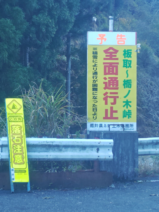 九頭竜川２０２５年11月15日と11月16日
