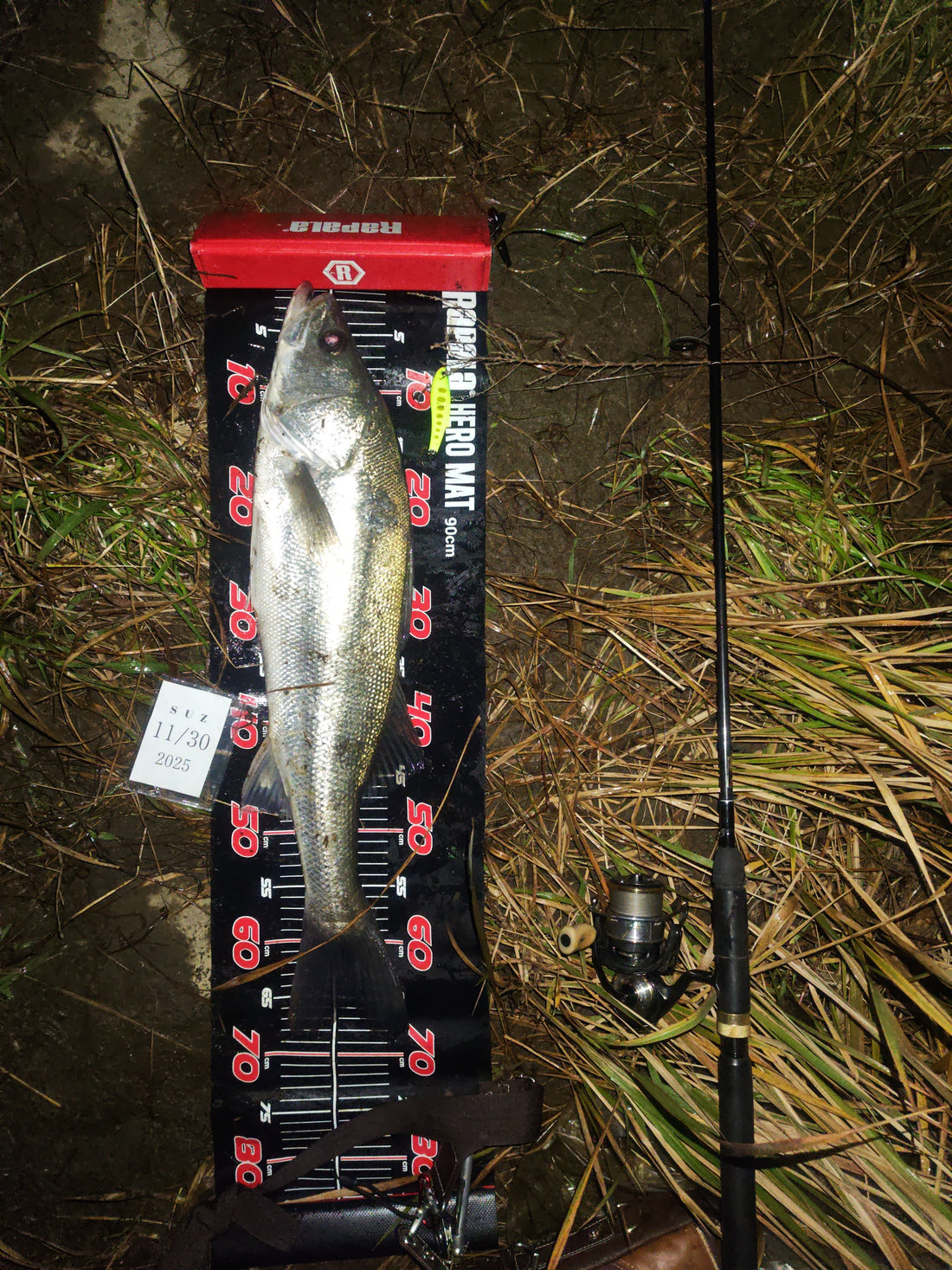 竹田川　２０２５年１１月３０日　