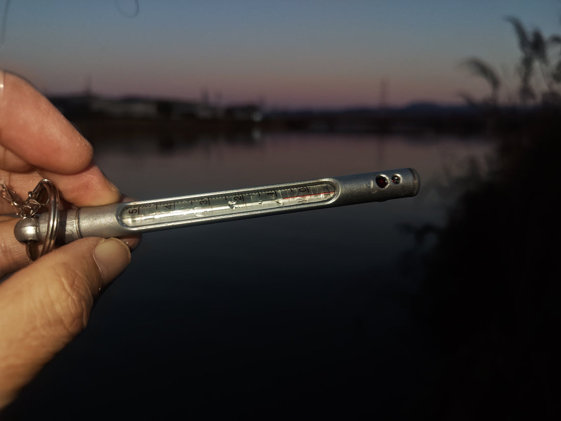 九頭竜川２０２５年１２月６日と１２月７日