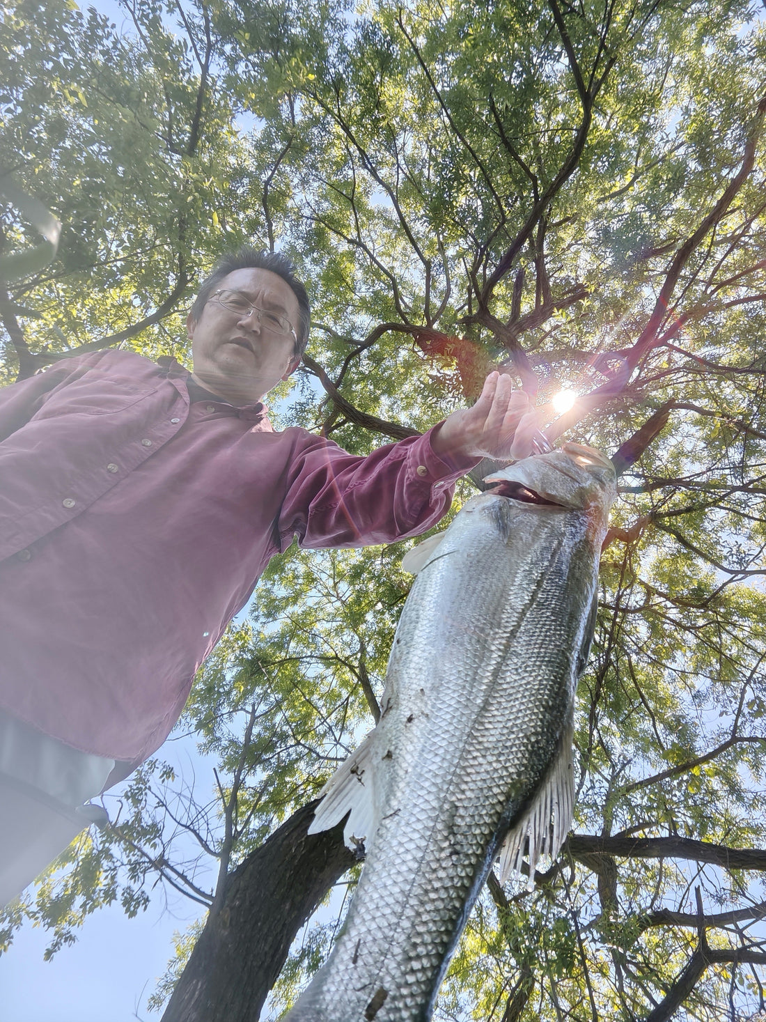 ２０２６九頭竜川5月4日〜5月5日サツキマスも釣れた〜